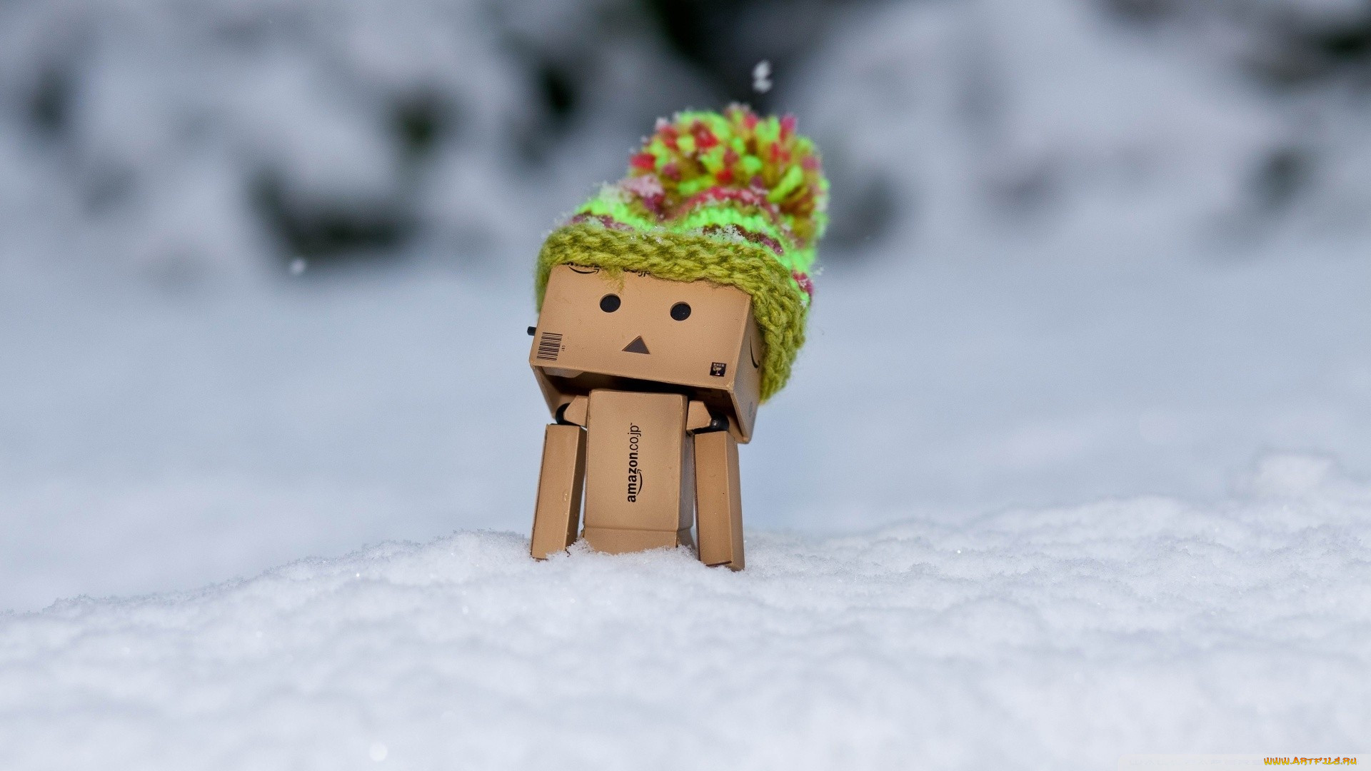 , , danboard